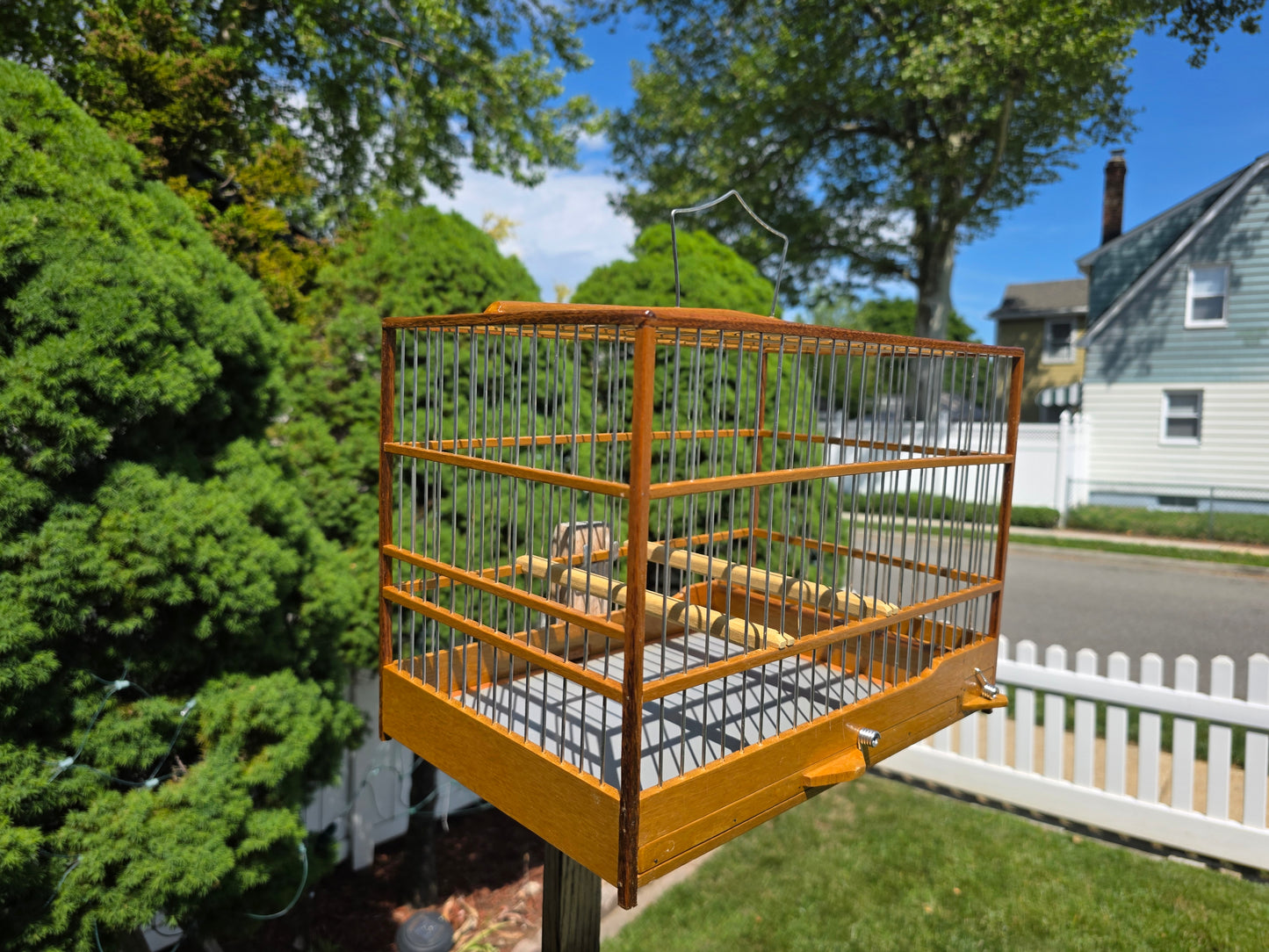 Yellow/Chocolate Cedar Bird Cage