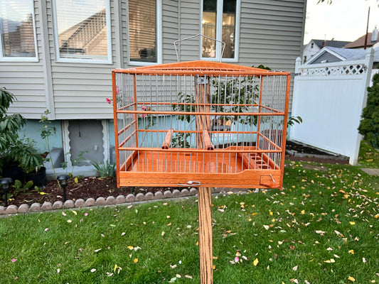 Bungalow Top Cedar Wood Marble Design Bird Cage